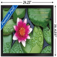 Дзен - Плакат за стена на лилиите, 14.725 22.375